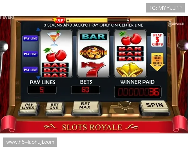 快速便捷的老虎机真人版下载平台，轻松开启精彩游戏之旅