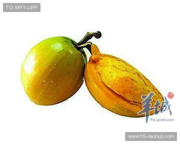 水果模拟器官网全面介绍游戏玩法与技巧，助你成为水果模拟游戏的高手