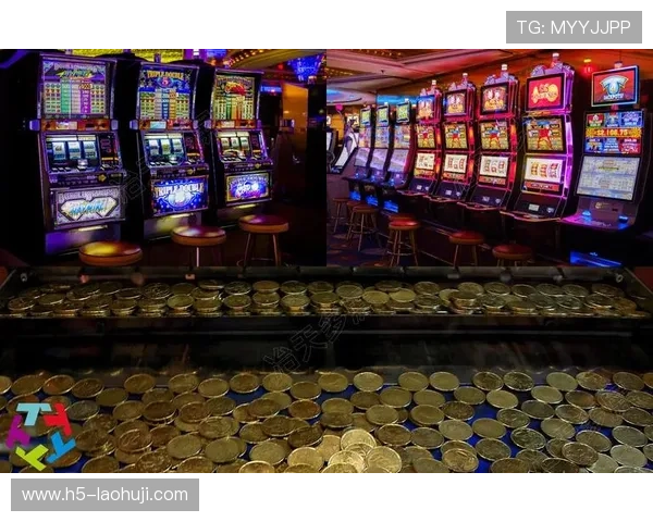 老虎机官方入口平台的排行榜,汇总优质在线娱乐场推荐 老虎机官方入口平台的排行榜,汇总优质在线娱乐场推荐