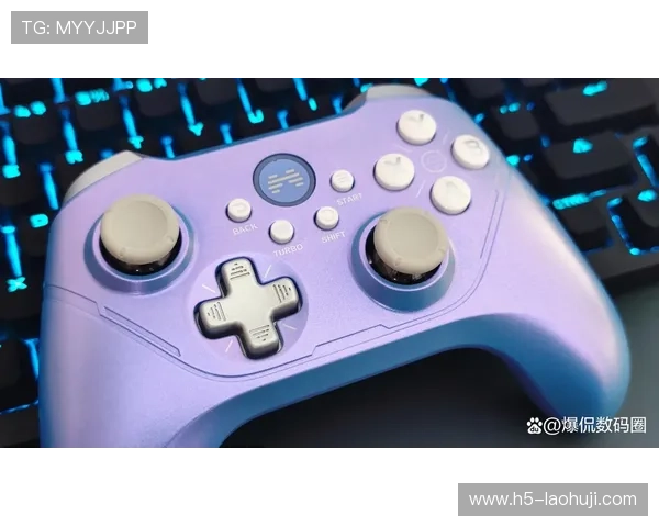 bogou电子游戏配件购买攻略详解如何选择适合自己的游戏装备提升整体游戏体验